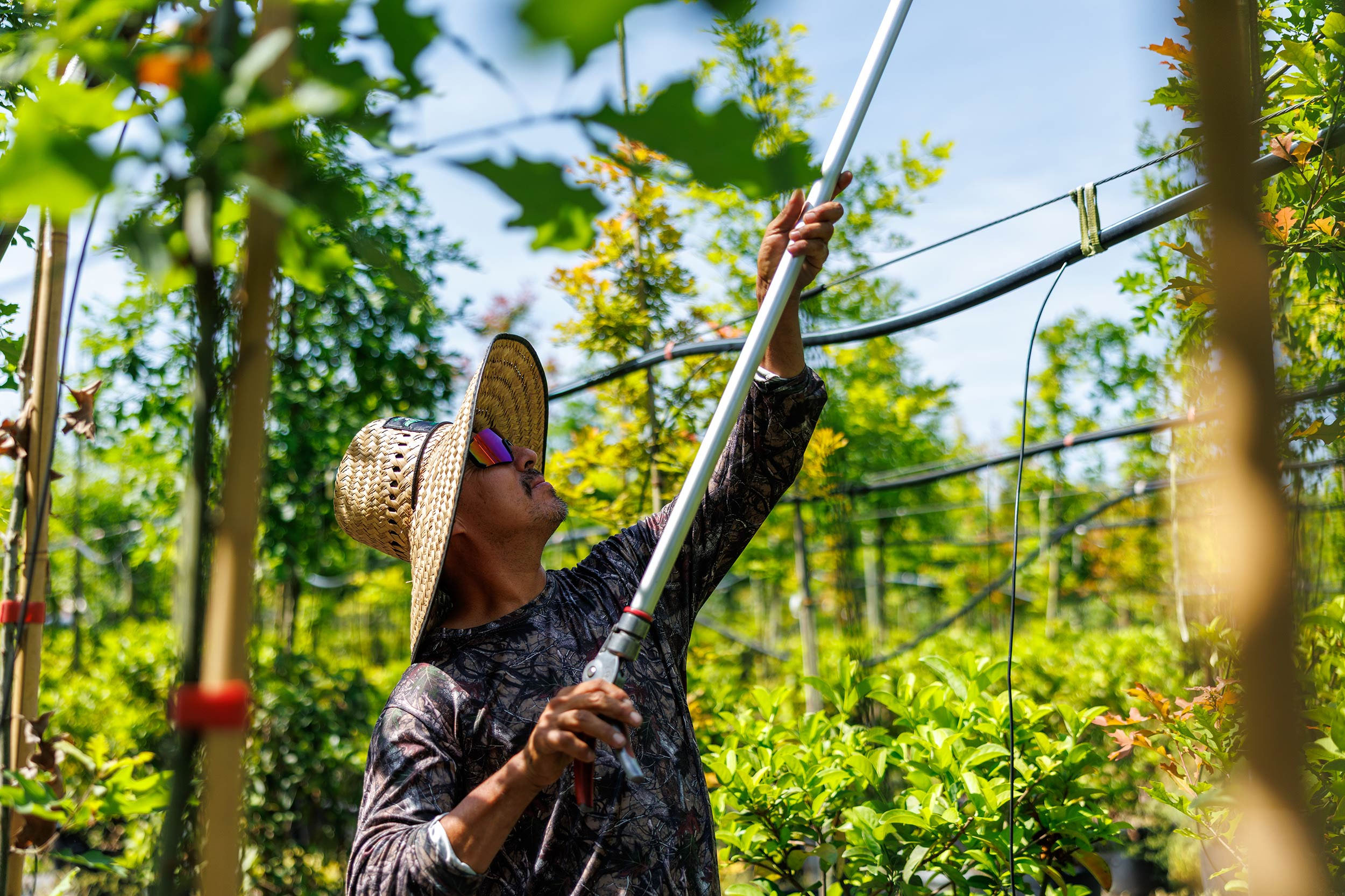 Grower adjusting irrigation system under shade structure — Pierson Supply providing expert support and quality agricultural materials for growers