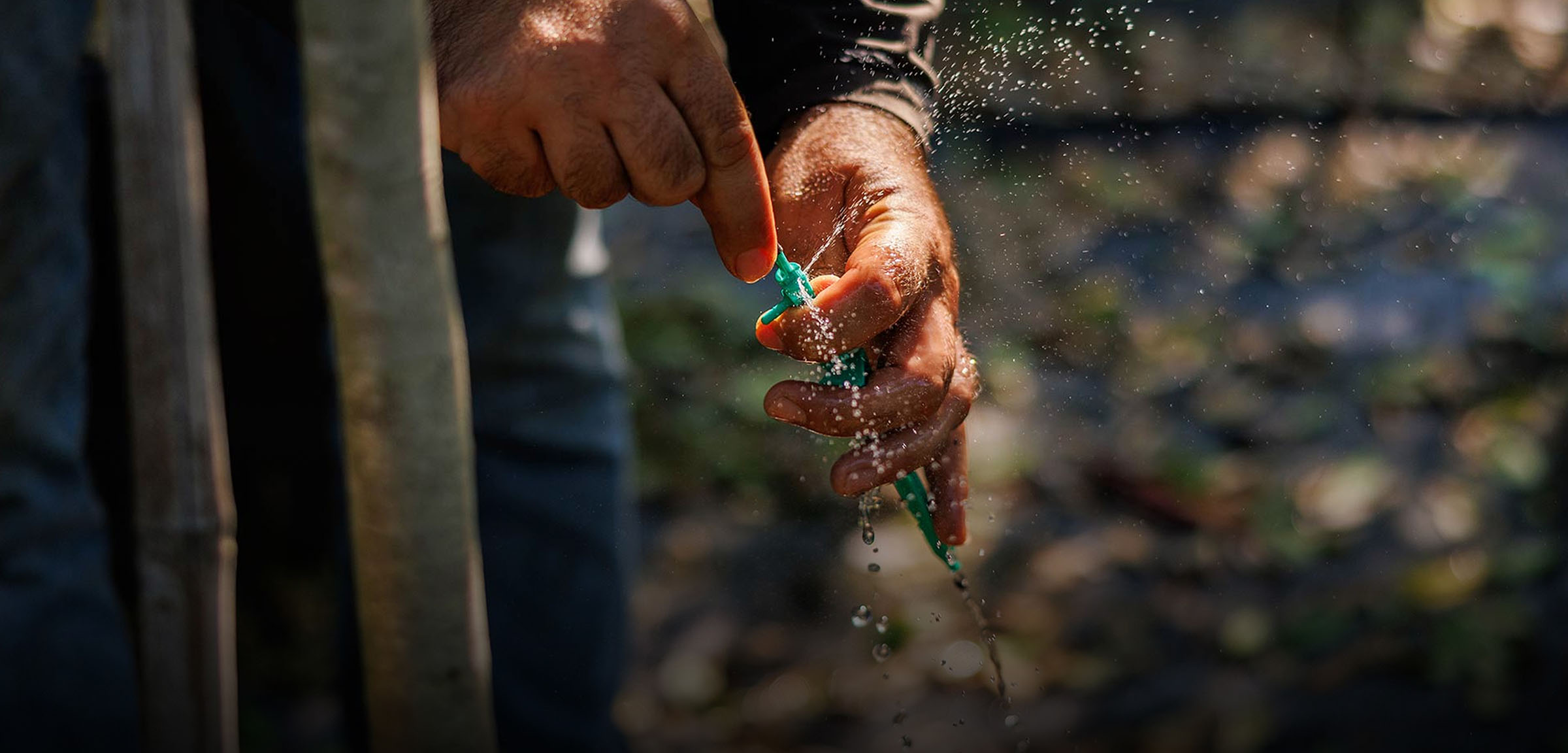 Grower adjusting irrigation tubing by hand — Pierson Supply providing reliable irrigation parts and support for growers