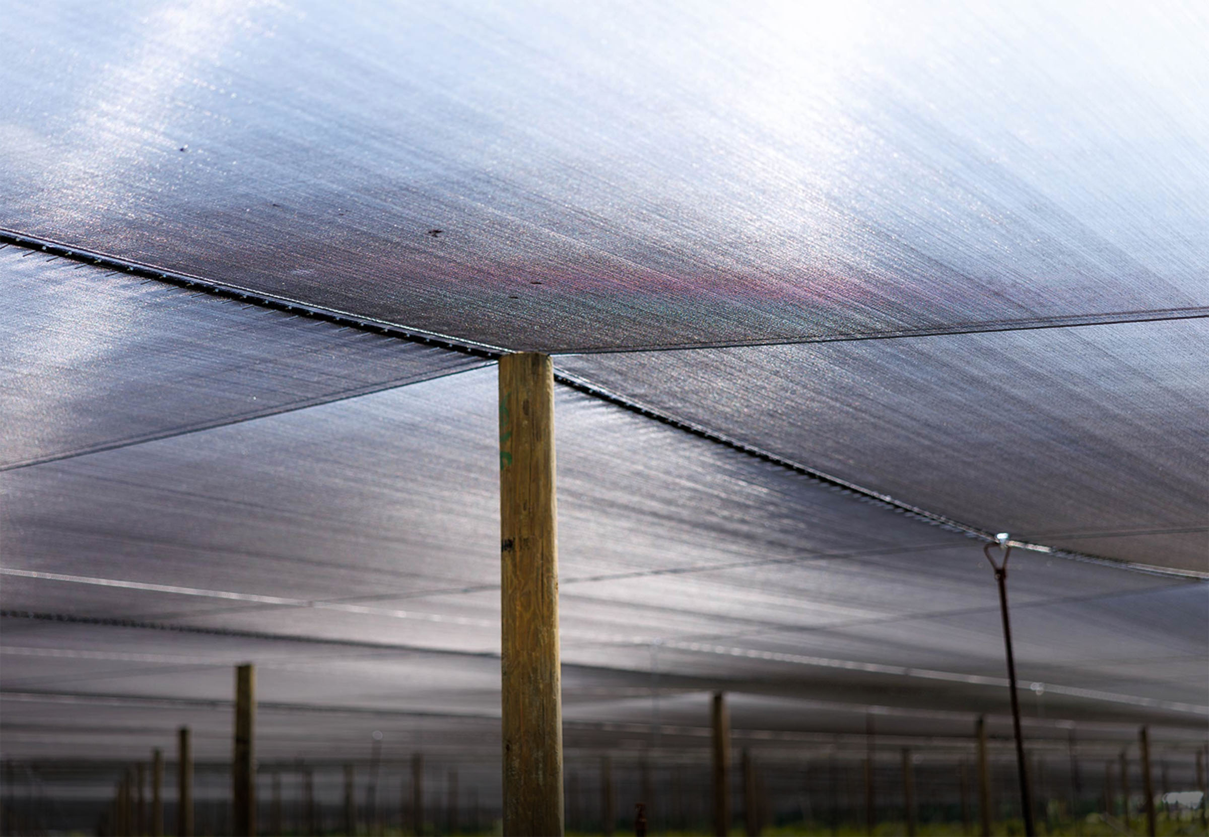 Shade cloth stretched over wooden posts creating a protective canopy — Pierson Supply shade structure materials for growers